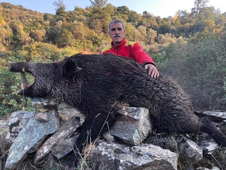 İZMİR'in Tire ilçesinde, domuz avına giden İzzet Gülbeyaz vuruldu