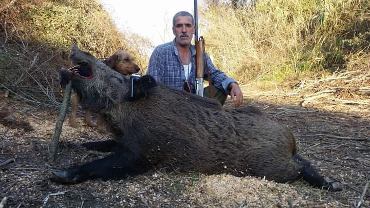 İZMİR'in Tire ilçesinde, domuz avına giden İzzet Gülbeyaz vuruldu