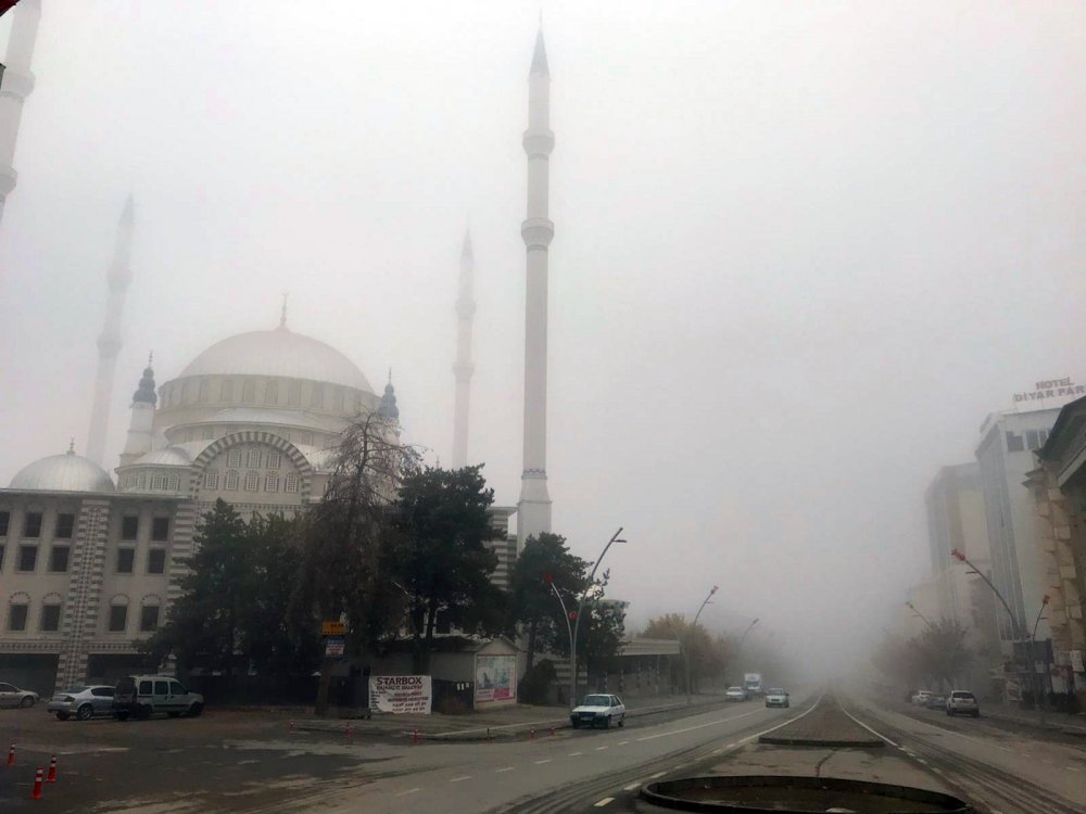 Muş'ta sis ve soğuk etkili oldu