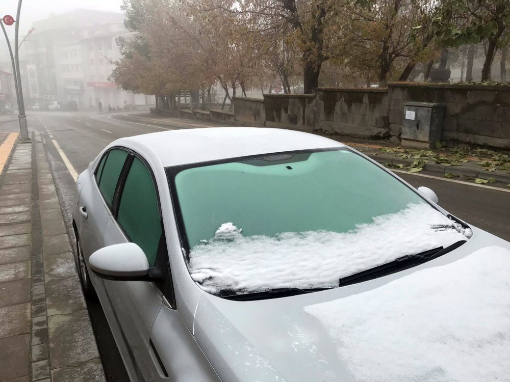 Muş'ta sis ve soğuk etkili oldu
