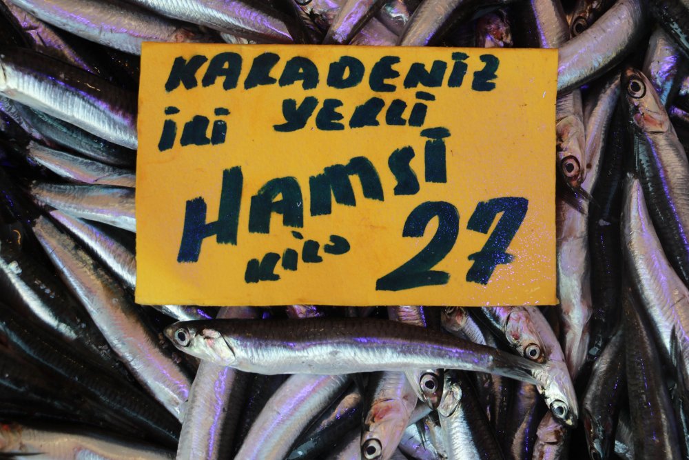 SAMSUN'da tezgahlar hamsi ile doldu, vatandaşın gözü irisinde