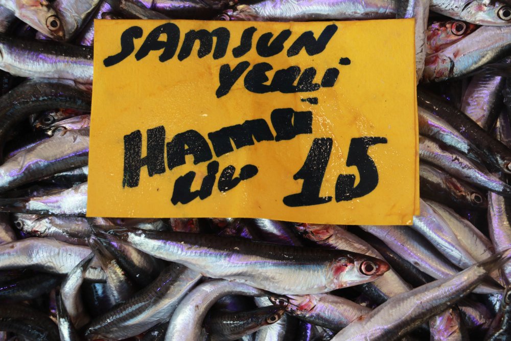 SAMSUN'da tezgahlar hamsi ile doldu, vatandaşın gözü irisinde