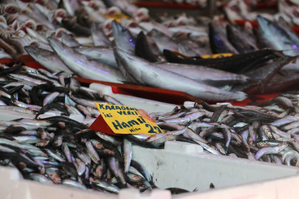 SAMSUN'da tezgahlar hamsi ile doldu, vatandaşın gözü irisinde