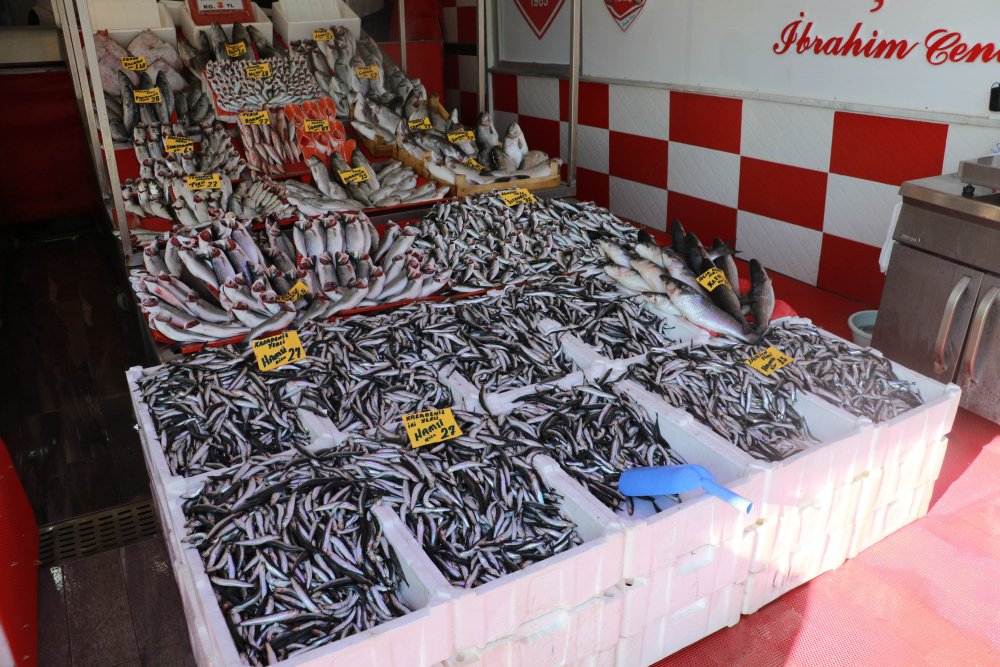 SAMSUN'da tezgahlar hamsi ile doldu, vatandaşın gözü irisinde