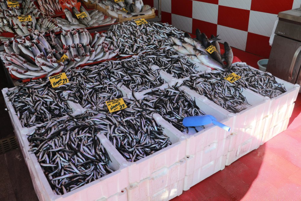 SAMSUN'da tezgahlar hamsi ile doldu, vatandaşın gözü irisinde