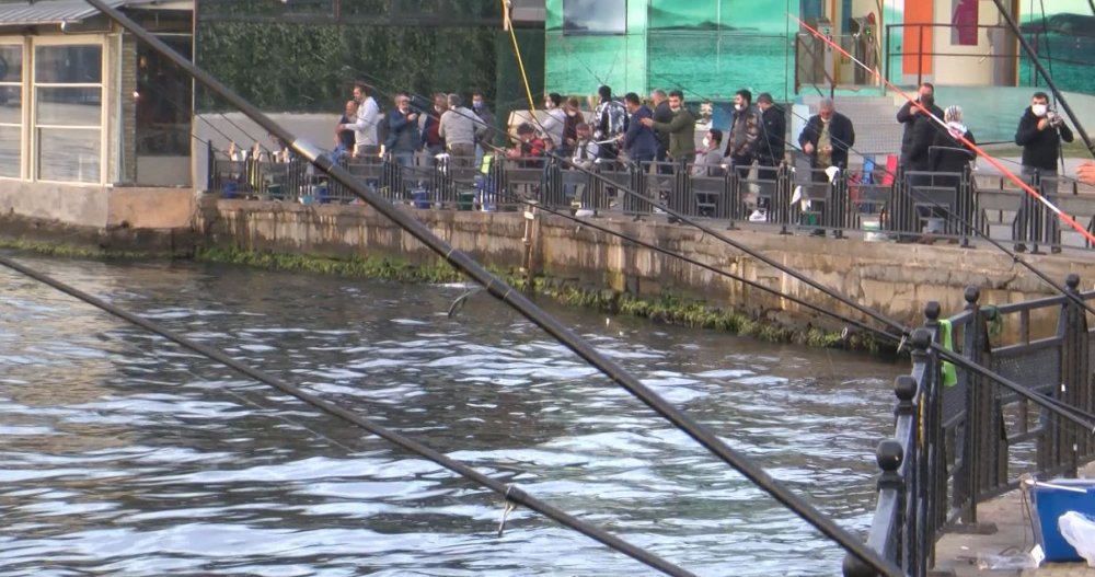 Üsküdar'da binlerce denizanası kıyıya vurdu