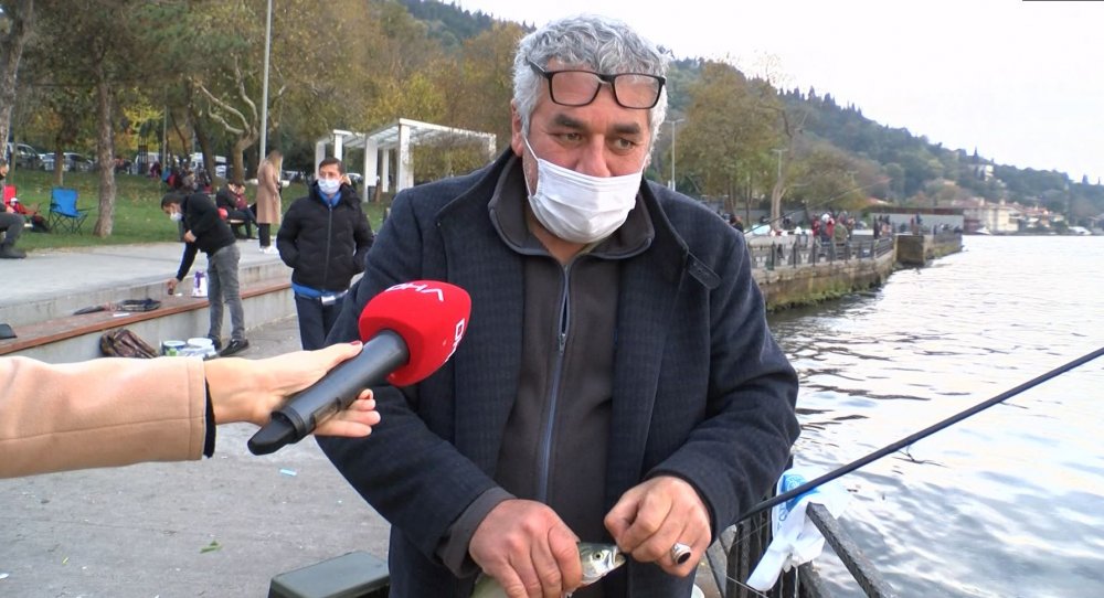 Üsküdar'da binlerce denizanası kıyıya vurdu