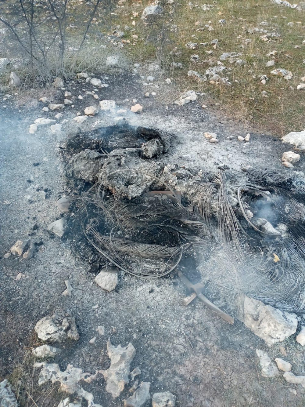 Bıçakla öldürdüğü arkadaşının cesedini 1 gün evinde saklayıp, ormanlık alanda yakmış