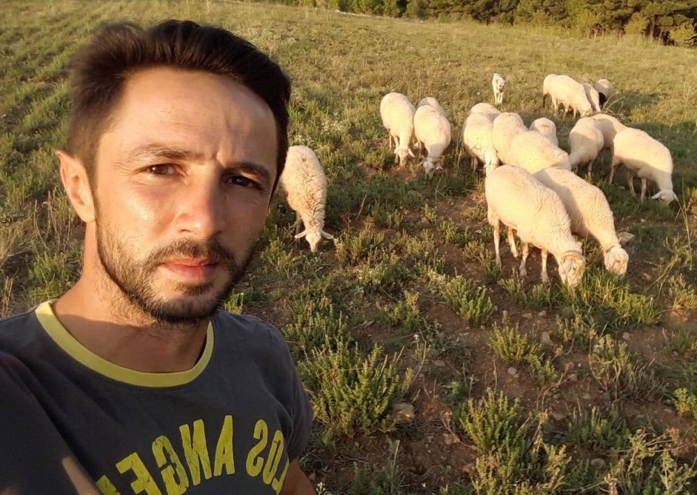 Tüfekle otomobilden ateş açıldı  Kangal çoban köpeği, 42 saçmayla yaralandı