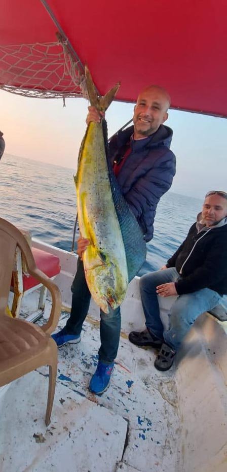 Okyanus balığı 15 kiloluk lambuka, Kuşadası'nda yakalandı