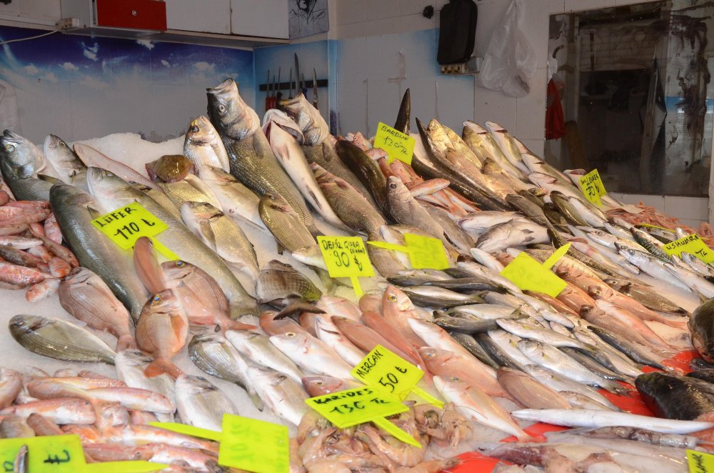 Okyanus balığı 15 kiloluk lambuka, Kuşadası'nda yakalandı