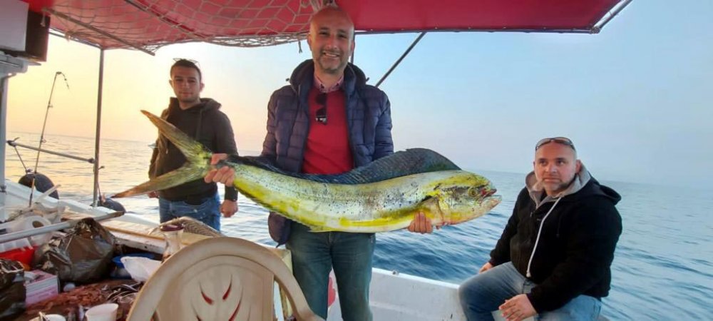 Okyanus balığı 15 kiloluk lambuka, Kuşadası'nda yakalandı