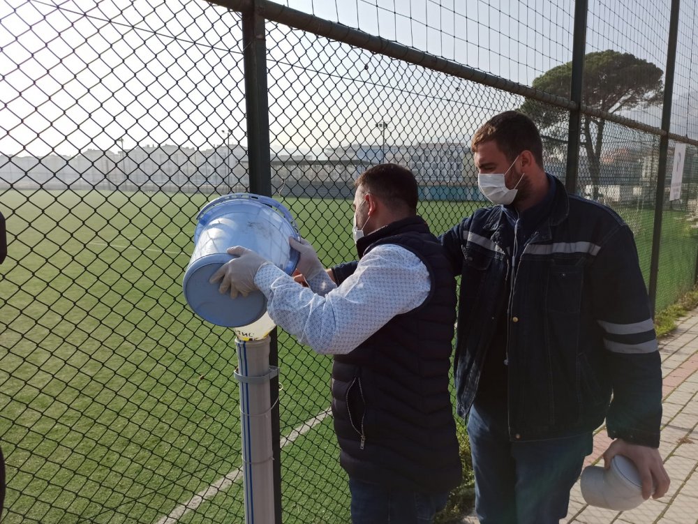Belediye kısıtlamada sokak hayvanlarını unutmadı