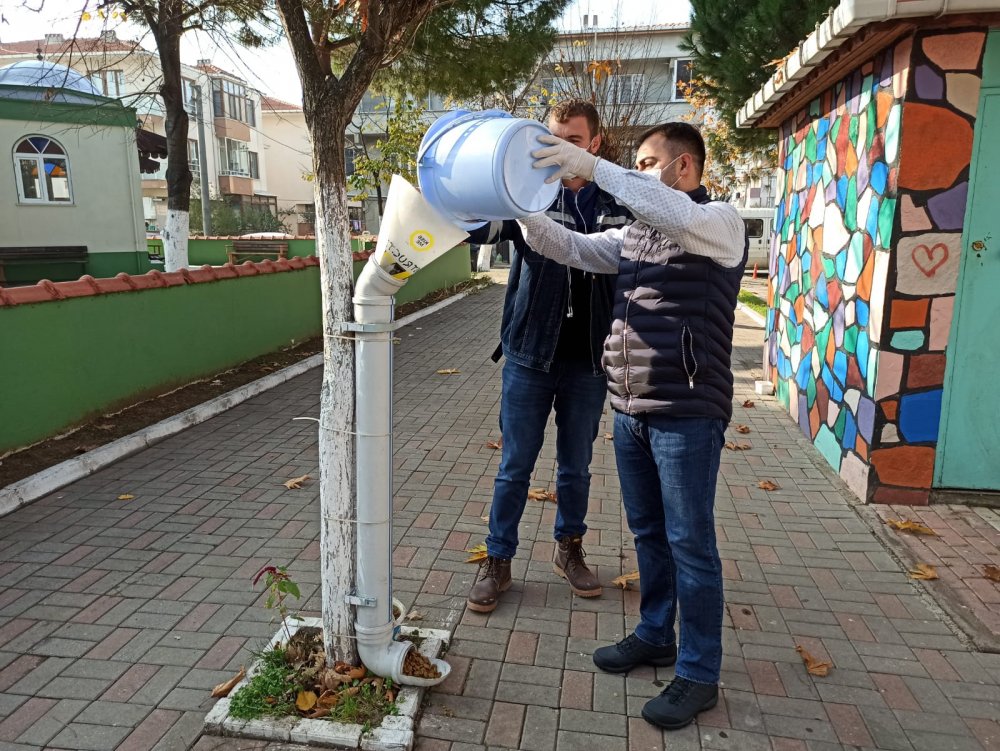 Belediye kısıtlamada sokak hayvanlarını unutmadı