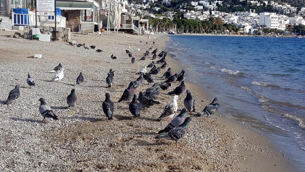 Turistik ilçelerde sessizlik