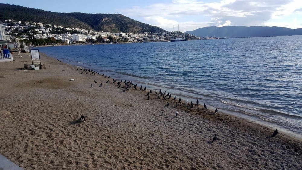 Turistik ilçelerde sessizlik