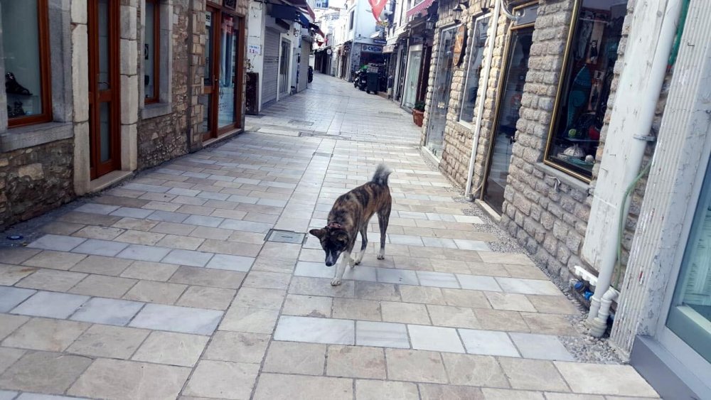 Turistik ilçelerde sessizlik