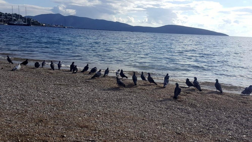 Turistik ilçelerde sessizlik