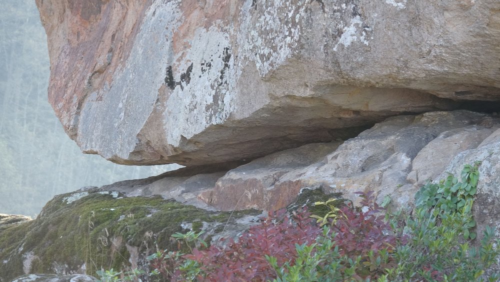 Giresun'da sıra dışı 'gelin kayası' ilgi çekiyor