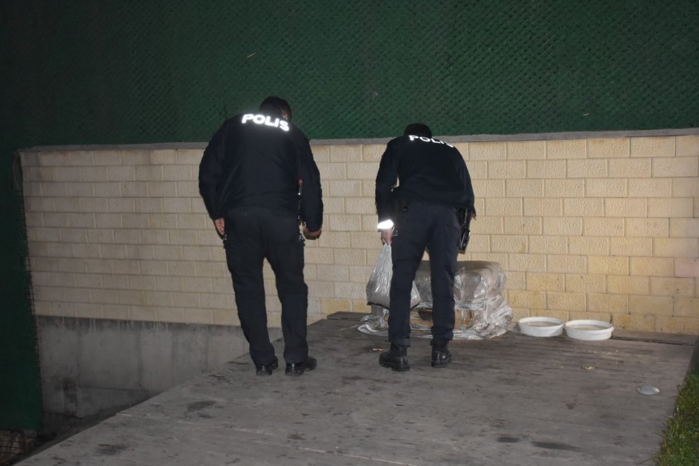 İzmir polisi, kısıtlamada sokak hayvanlarını unutmadı