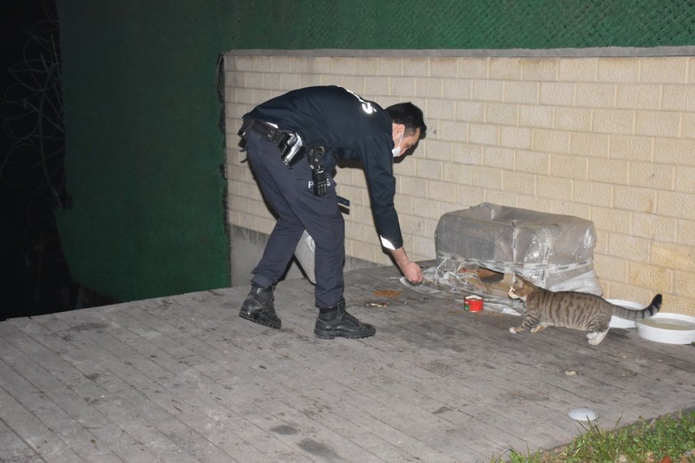 İzmir polisi, kısıtlamada sokak hayvanlarını unutmadı