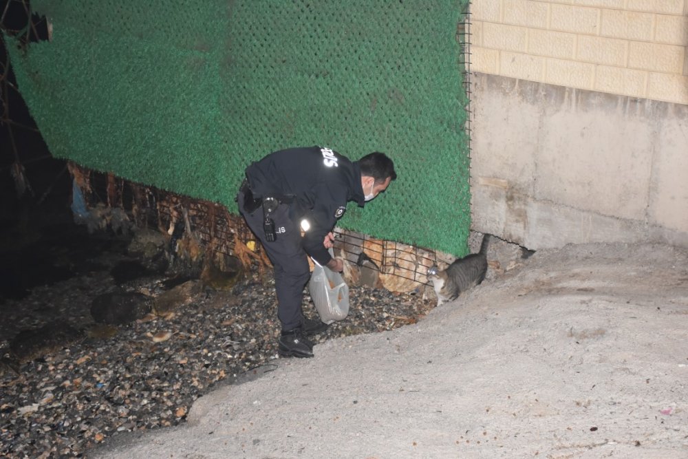 İzmir polisi, kısıtlamada sokak hayvanlarını unutmadı