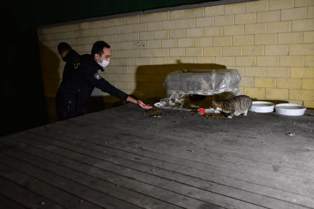 İzmir polisi, kısıtlamada sokak hayvanlarını unutmadı