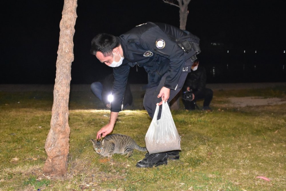 İzmir polisi, kısıtlamada sokak hayvanlarını unutmadı