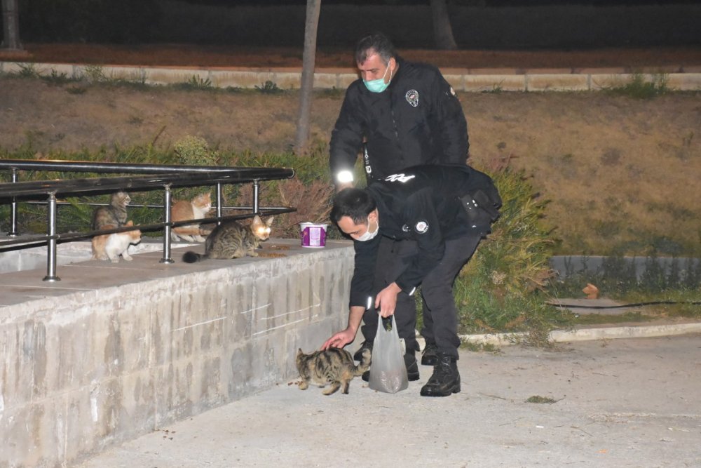İzmir polisi, kısıtlamada sokak hayvanlarını unutmadı