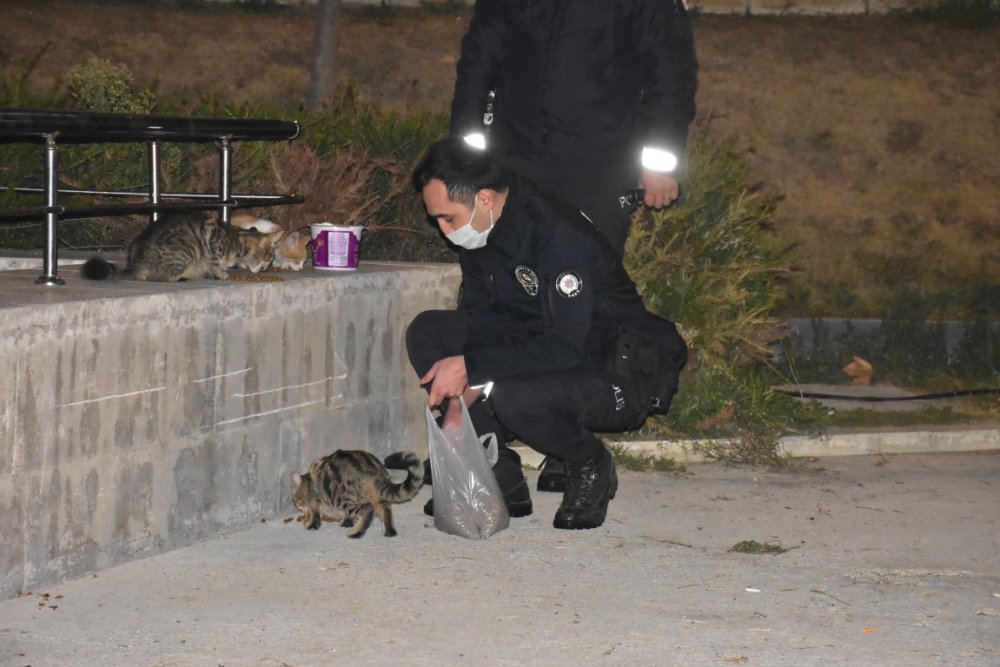 İzmir polisi, kısıtlamada sokak hayvanlarını unutmadı