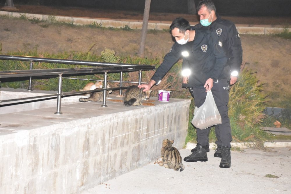 İzmir polisi, kısıtlamada sokak hayvanlarını unutmadı