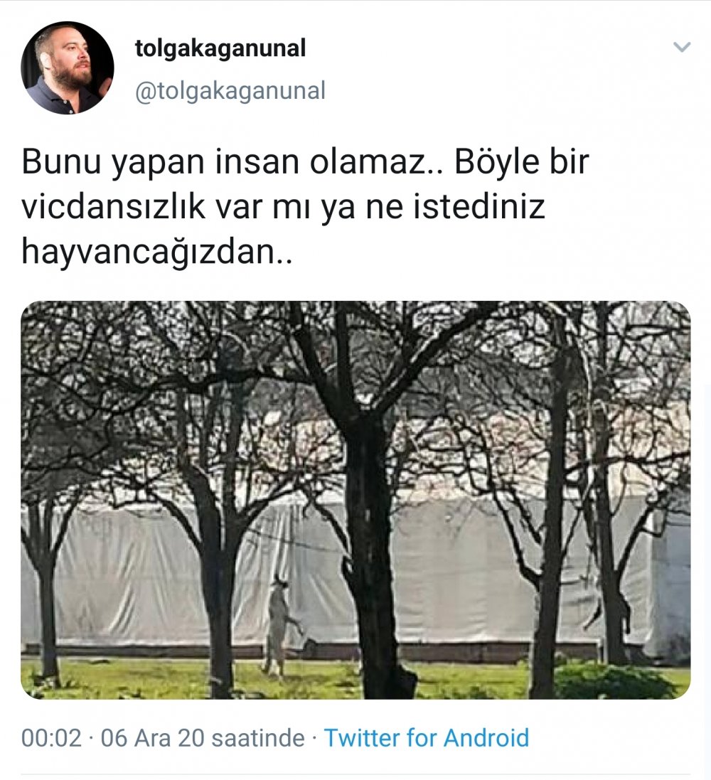 Köpeği iple ağaca astı 