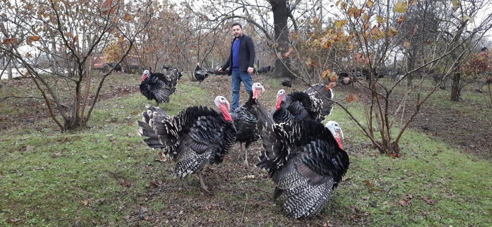 Koronavirüsün hindi satışlarına etkisi