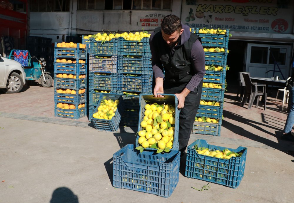 Limon üreticisinden 'market' tepkisi: 1 liraya veriyoruz, 5 liraya satıyorlar