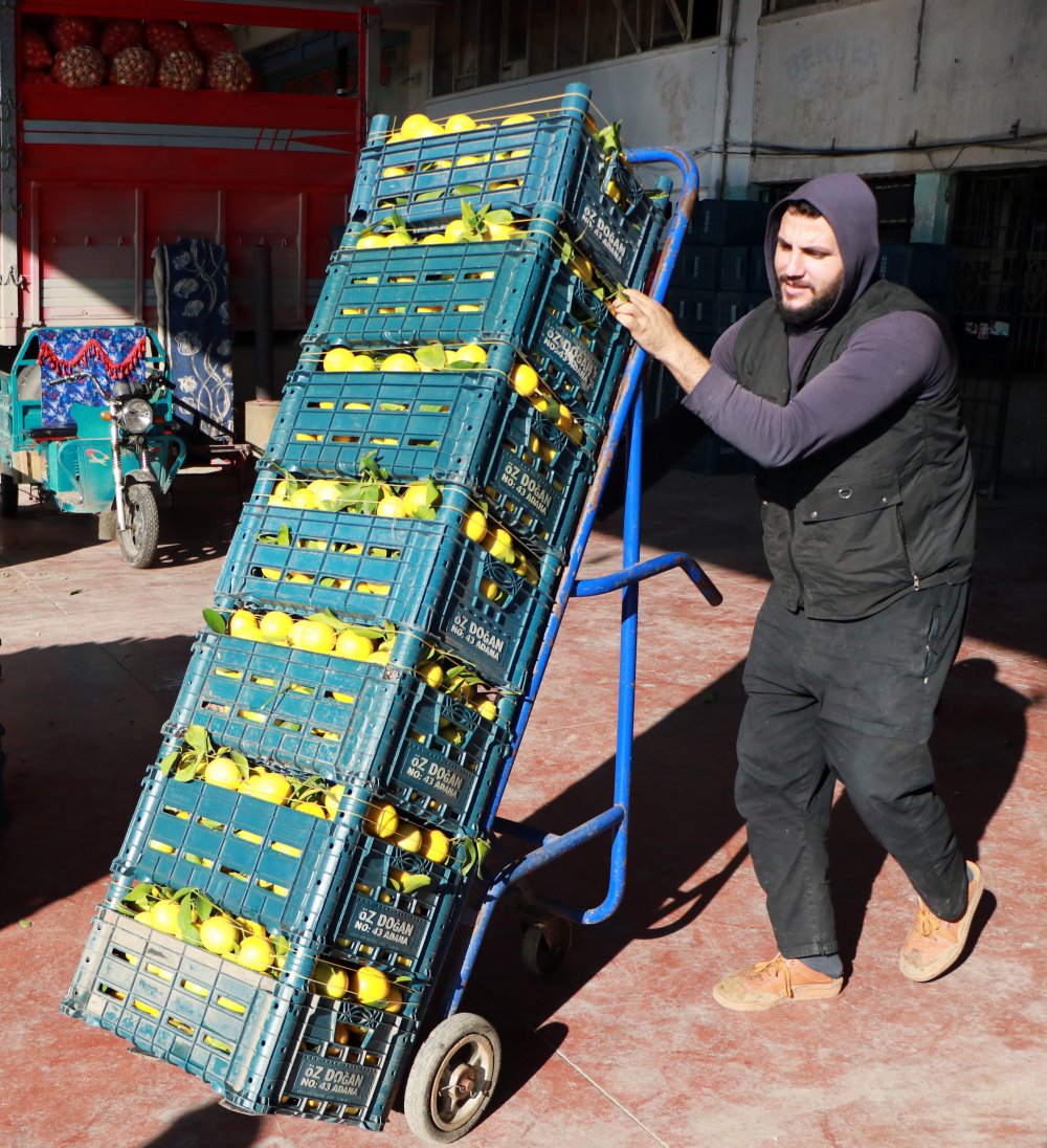 Limon üreticisinden 'market' tepkisi: 1 liraya veriyoruz, 5 liraya satıyorlar