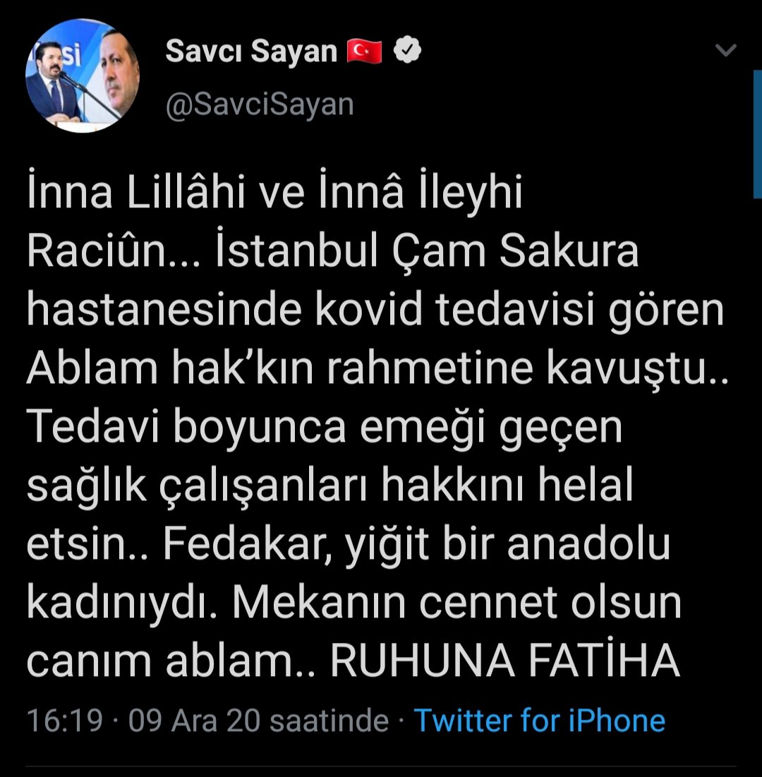 savci-1.jpg