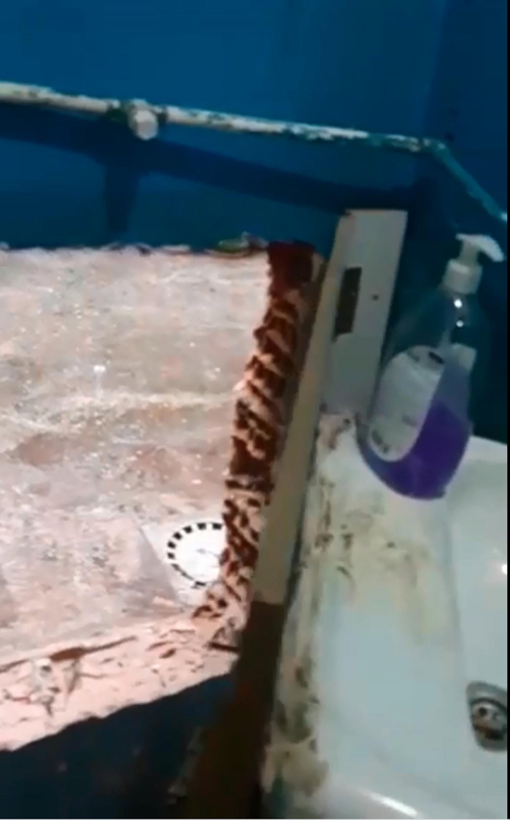 Gizli geçitle girilen iş yerinde kumar oynarken yakalandılar