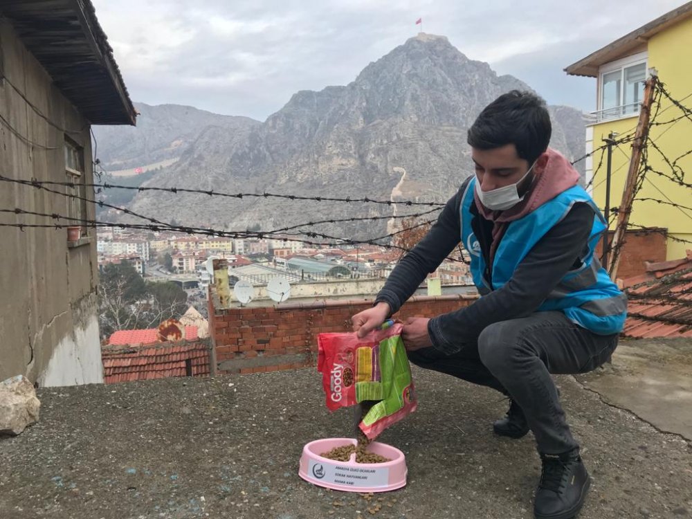 Amasya'da kısıtlamada sokak hayvanları unutulmadı