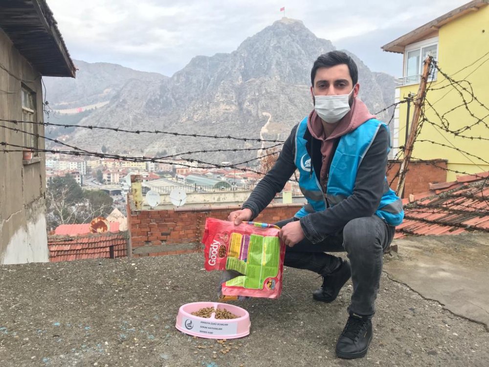 Amasya'da kısıtlamada sokak hayvanları unutulmadı