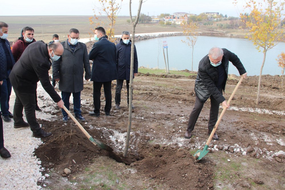 Diyarbakır'da rehabilite edilen gölet eski haline getirildi