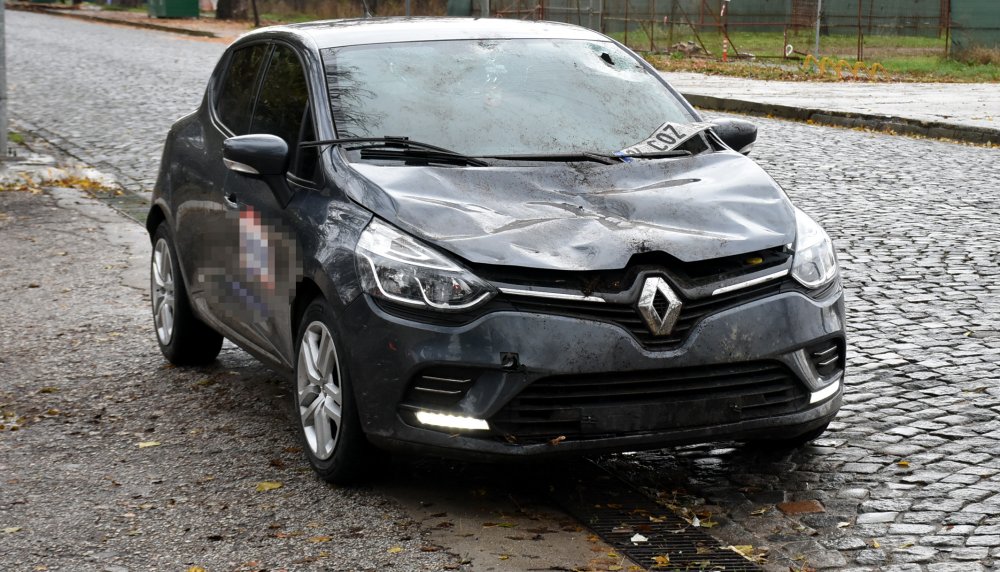 Edirne'de seyir halindeki otomobilin üzerine ağaç devrildi