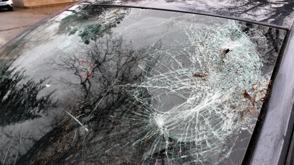 Edirne'de seyir halindeki otomobilin üzerine ağaç devrildi