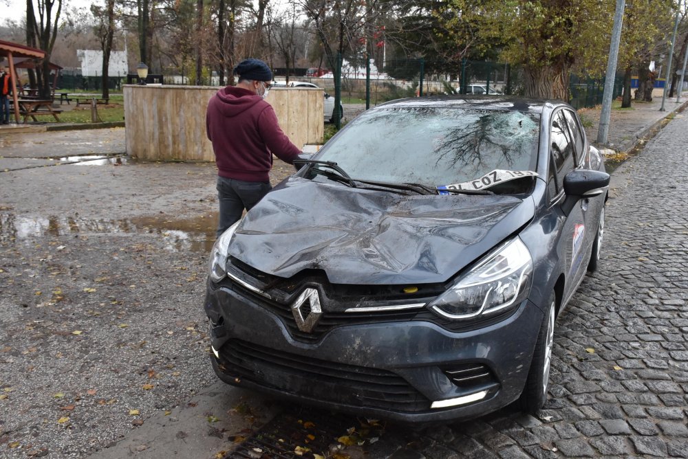 Edirne'de seyir halindeki otomobilin üzerine ağaç devrildi