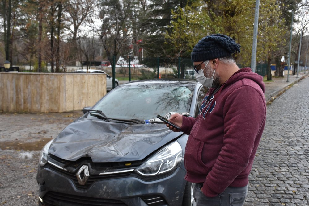 Edirne'de seyir halindeki otomobilin üzerine ağaç devrildi