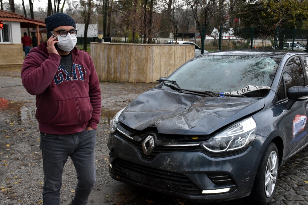 Edirne'de seyir halindeki otomobilin üzerine ağaç devrildi