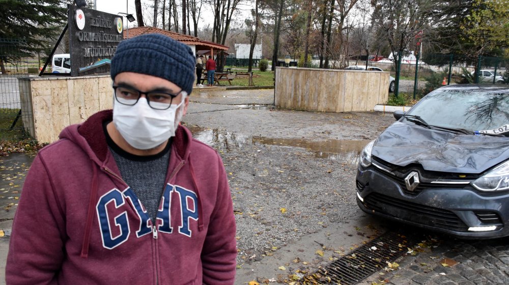 Edirne'de seyir halindeki otomobilin üzerine ağaç devrildi