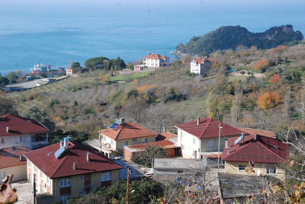 Bartın'da 45 aile bahçelerinde mandalina, limon ve portakal yetiştiriyor