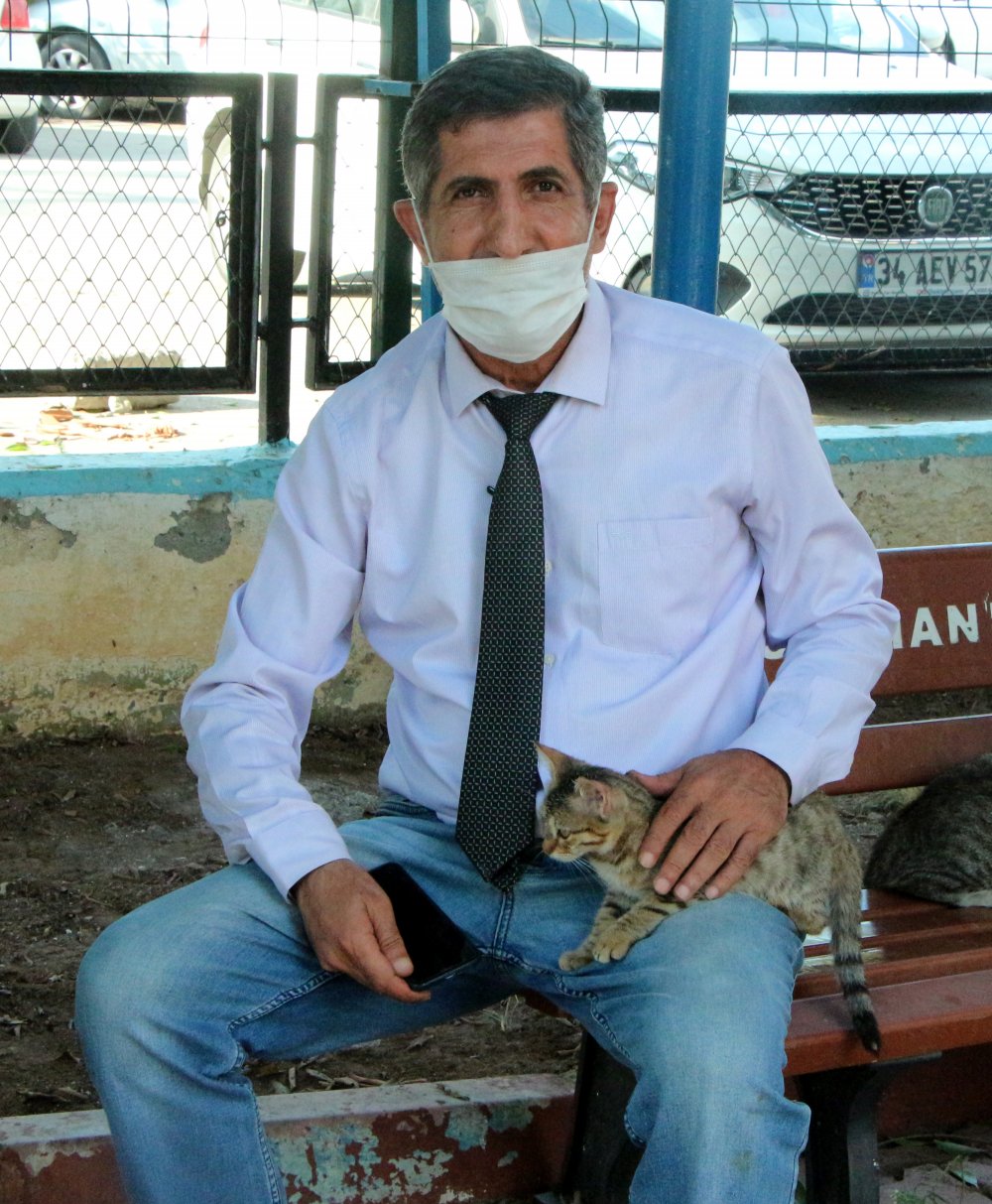 Evcil hayvanlar 'koronavirüs' gerekçesiyle sokağa bırakılıyor