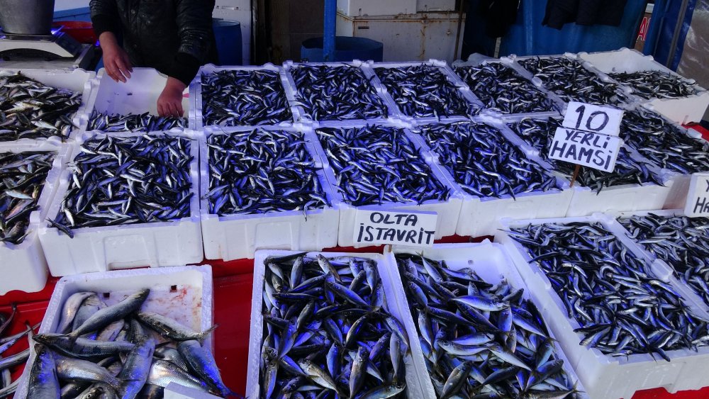 Hamsi sürüleri kuzeye yöneldi, avı azaldı