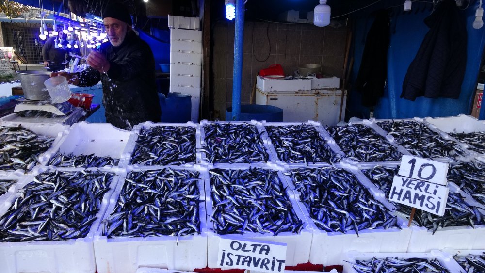 Hamsi sürüleri kuzeye yöneldi, avı azaldı